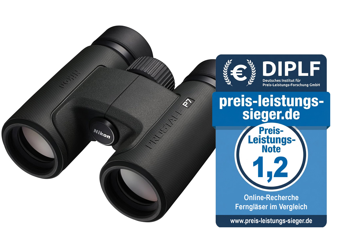 Preis-Leistungs-Sieger Ferngläser: Nikon Prostaff P7 8×30